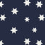 Blue/White Stars