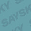 Blue Logo