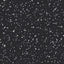 Black Universe